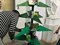 2018-11-22-albero-della-cultura-07
