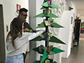 2018-11-22-albero-della-cultura-10