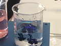 2018-11-30-laboratorio-fisica-13