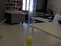 2021-04-24-estrazione-dna-kiwi-04