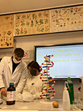 2021-12-04-dna-01