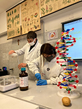 2021-12-04-dna-05