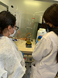 2022-03-03-synthesis-of-the-soap-natural-03