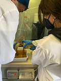 2022-03-03-synthesis-of-the-soap-natural-09