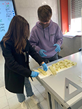 2022-03-03-synthesis-of-the-soap-natural-14