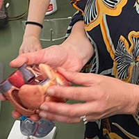 2022-05-13-anatomia-cuore-05