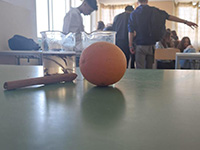2023-03-30-estrazione-essenze-08