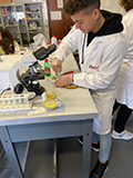 2019-12-19-estrazione-dna-01