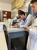 2019-12-19-estrazione-dna-07