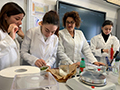 2020-02-10-estrazione-dna-01