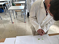 2021-05-31-estrazione-pigmenti-07