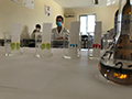 2021-05-31-estrazione-pigmenti-09