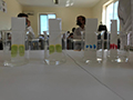 2021-05-31-estrazione-pigmenti-10