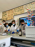 2021-12-10-estrazione-dna-01