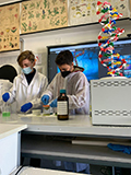 2021-12-10-estrazione-dna-02