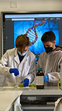 2021-12-10-estrazione-dna-03