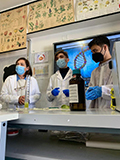 2021-12-10-estrazione-dna-06