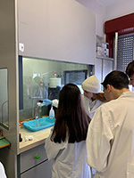 2023-02-06-dentifricio-redox-catalisi-01