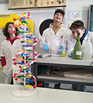 2023-02-06-dentifricio-redox-catalisi-04
