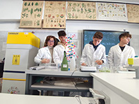 2023-02-06-dentifricio-redox-catalisi-05