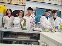 2023-02-06-dentifricio-redox-catalisi-07