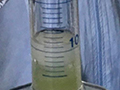 2021-03-04-estrazione-dna-03