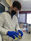 2021-04-24-estrazione-dna-kiwi-05