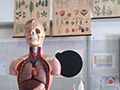 2021-05-21-sangue-artificiale-01