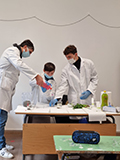 2021-12-13-cromatografia-clorofilla-07