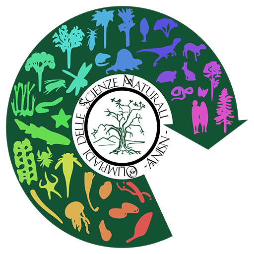 logo-oli-bg