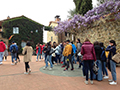 2019-04-06-Viaggio-in-Toscana-06